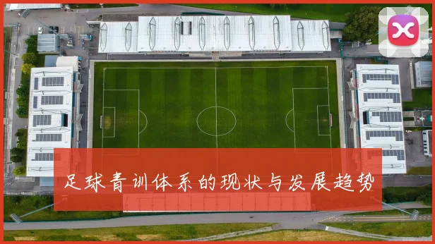 足球青训体系的现状与发展趋势