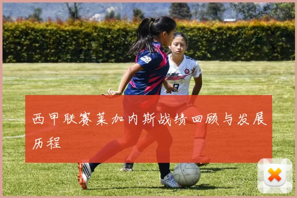 西甲联赛莱加内斯战绩回顾与发展历程
